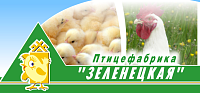 Автоматизация фирменного магазина "Птицефабрика Зеленецкая" с использованием конфигурации "ДАЛИОН: Управление магазином. УНО"
