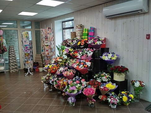 Автоматизация магазина - Ревда - Непродуктовая розница  одиночный магазин  