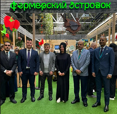 Автоматизация магазина - Арск г. - Смешанный бизнес (розница + общепит)  сеть магазинов  